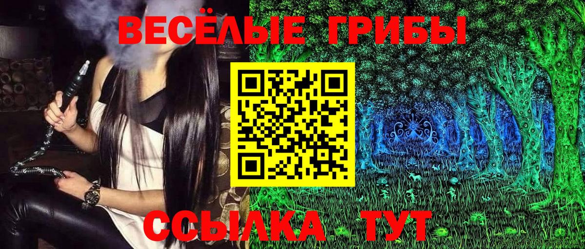Азов  Галлюциногенные грибы GOLDEN TEACHER  Вход с VPN  Псилоцибиновые грибы MAGIC MUSHROOMS 
