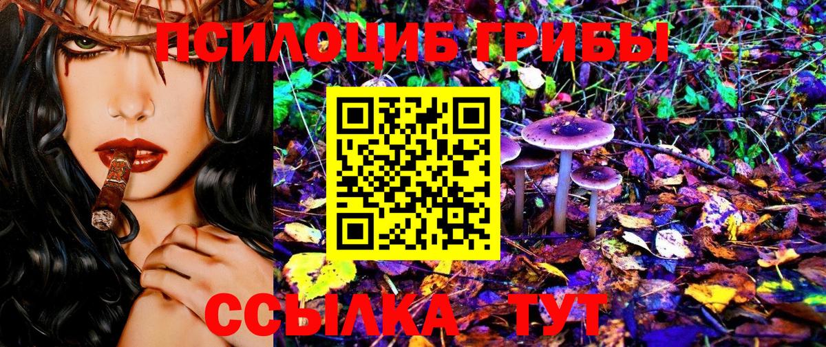 Галлюциногенные грибы прущие грибы Азов